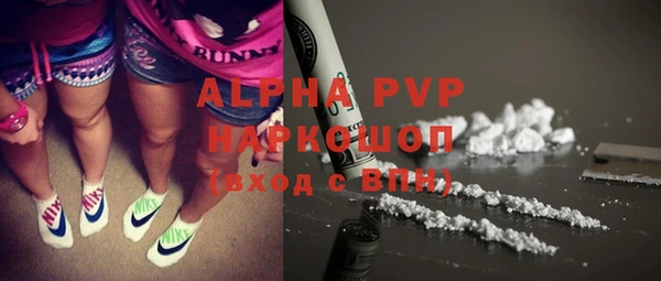стаф Алагир