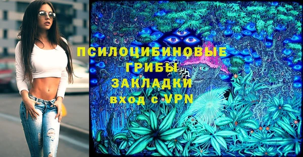 спиды Магас