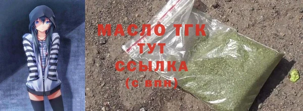 молекула духа Медногорск