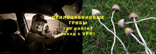спайс Мегион