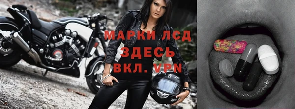 спиды Магас