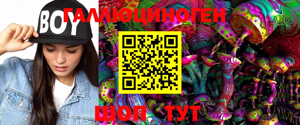 Псилоцибиновые грибы Psilocybe Югорск