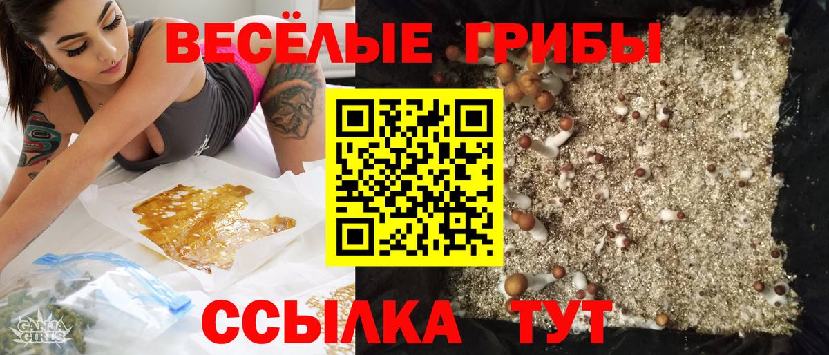 Псилоцибиновые грибы прущие грибы Югорск