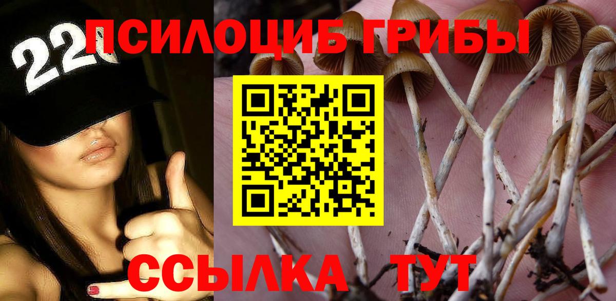 Галлюциногенные грибы мицелий  Галлюциногенные грибы Magic Shrooms  Вход с VPN  Югорск 