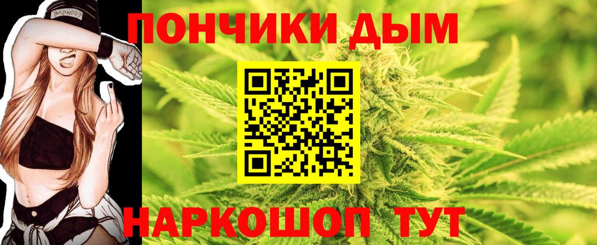 Конопля сатива Югорск